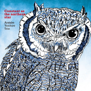 CONSTANT AS THE NORTHERN STAR