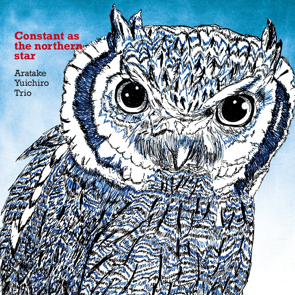CONSTANT AS THE NORTHERN STAR